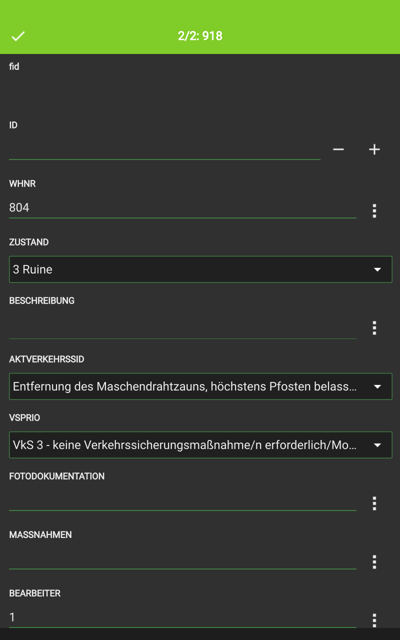 QField Formular geo_Monitoring oben